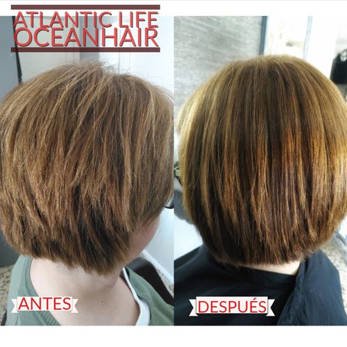 Treatment kit Ocean Hair Atlantic Life Plex 2 products