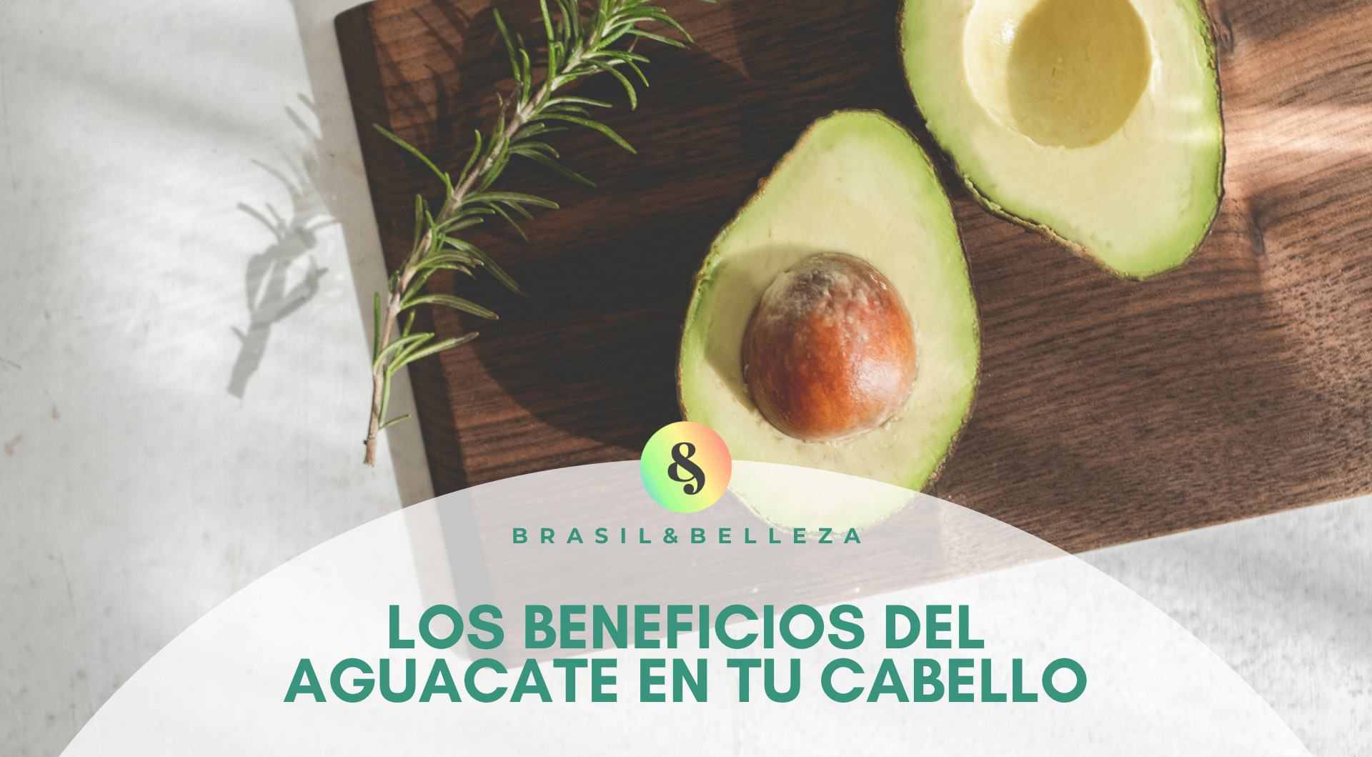 Aguacate Aguacate
