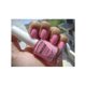 Esmalte de uñas Inocos  Maria Beatriz rosa pastel ultracremoso 9ml