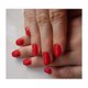 Nail polish Risqué Toque de Ira coral red creamy 8ml