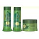 Maintenance pack Haskell Banana tree hair mass replenisher  3 products