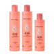Pack Mantenimiento B&B Rosé Reconstrucción 3 productos