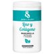 Treatment Kit B&B Flax and Collagen 3 products
