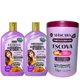 Maintenance pack Gota Dourada Straightened Hair 3 products