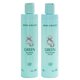 Pack Mantenimiento B&B Green Detox 2 productos