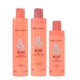 Pack Mantenimiento B&B Rosé Reconstrucción 3 productos