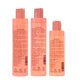 Pack Mantenimiento B&B Rosé Reconstrucción 3 productos