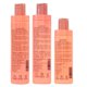 Maintenance pack B&B Rosé Reconstruction 3 products