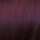 Vegan dye Elgon Imagea Color in Gel 5_77 Light Intense Violet Brown 60ml  