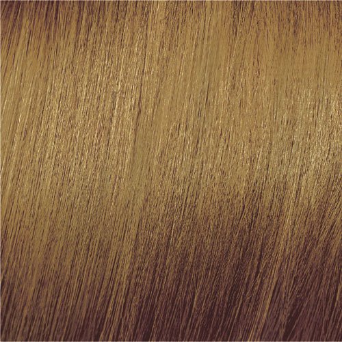 Vegan dye Elgon Imagea Color in Gel 8 Light Blonde 60ml  