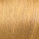 Vegan dye Elgon Imagea Color in Gel 9_3 Extra Light Golden Blonde 60ml  