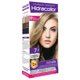 Kit Ammonia-free Dye Hidracollor 7.1 Ash Blonde 100ml  