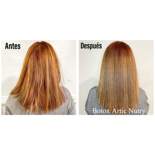 Hair botox Ocean Hair Artic Nutry mousse treatment 15ml