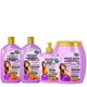 Maintenance pack Gota Dourada Straightened Hair 4 products