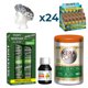 Maintenance pack Skafe Regefort Babosa of Babado Aloe Vera 29 products