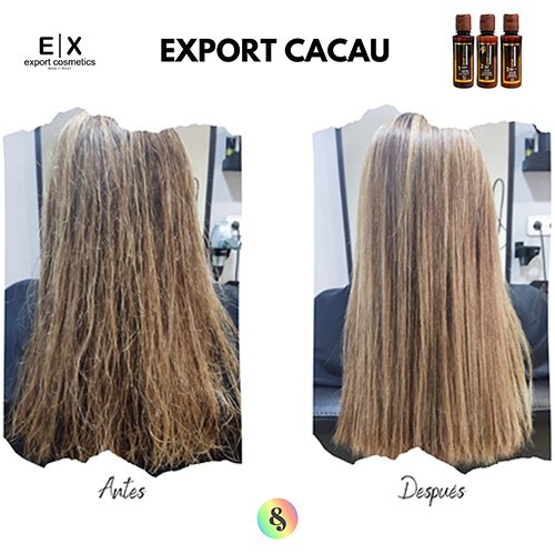 Kit Alisado de Keratina Export Cacau 3x100ml