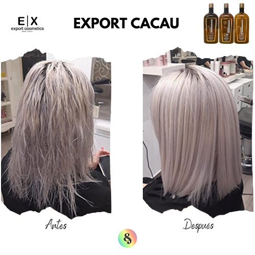 Kit Alisado de Keratina Export Cacau 3x1L