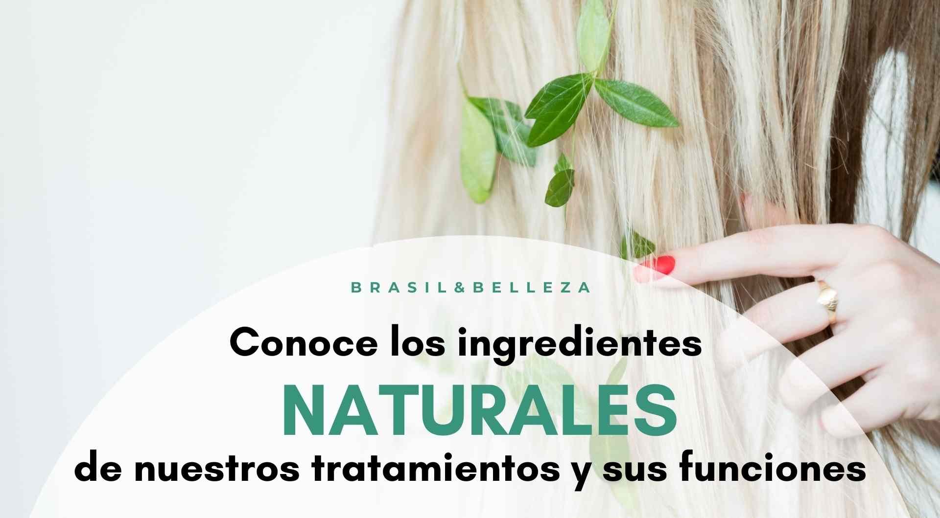 Conoce los ingredientes naturales de nuestros tratamientos y sus funciones