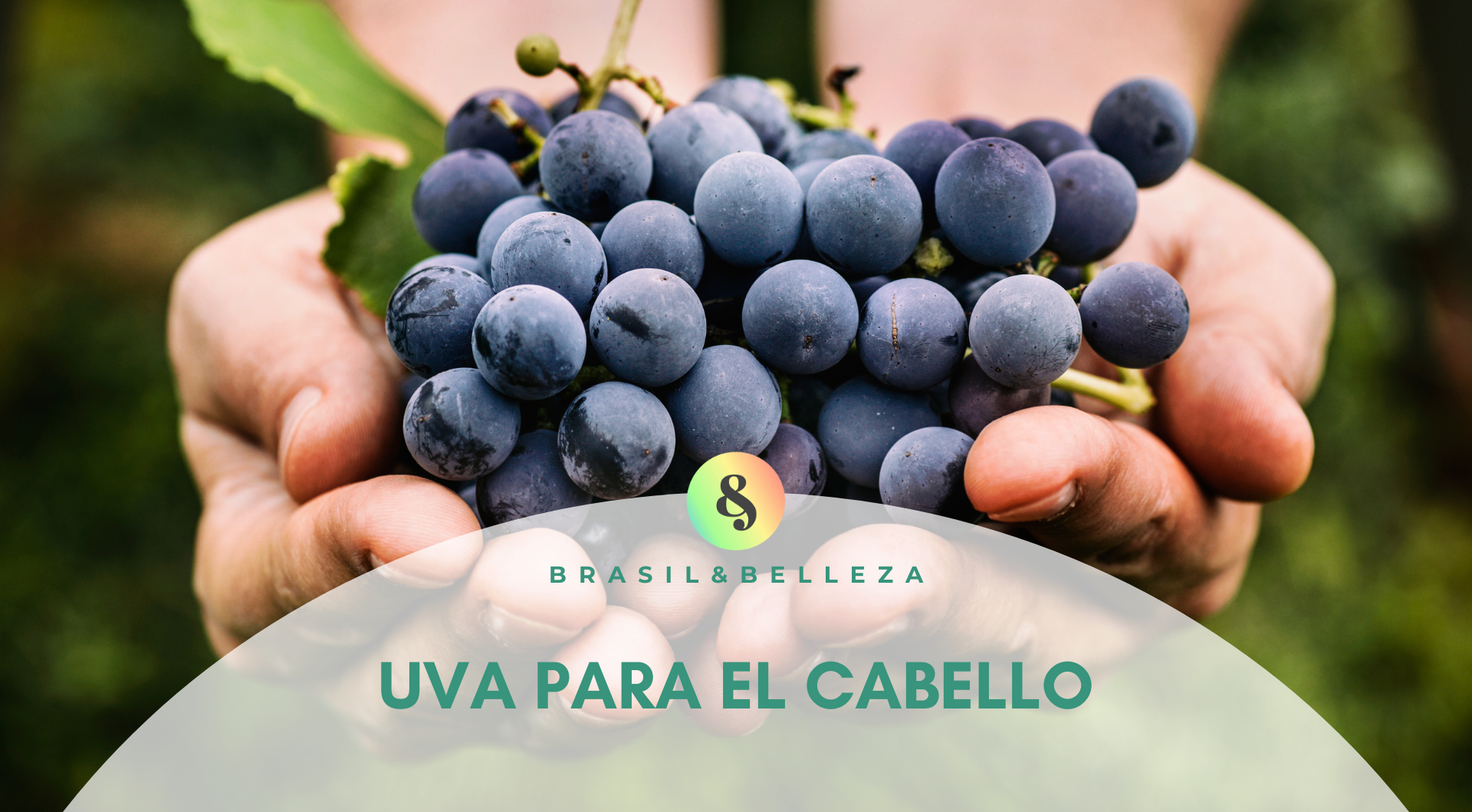 Uva para el Cabello