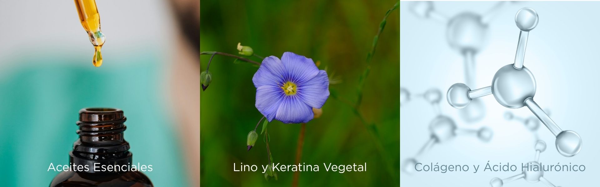 Descubre el Secreto de un Cabello Sano y Brillante