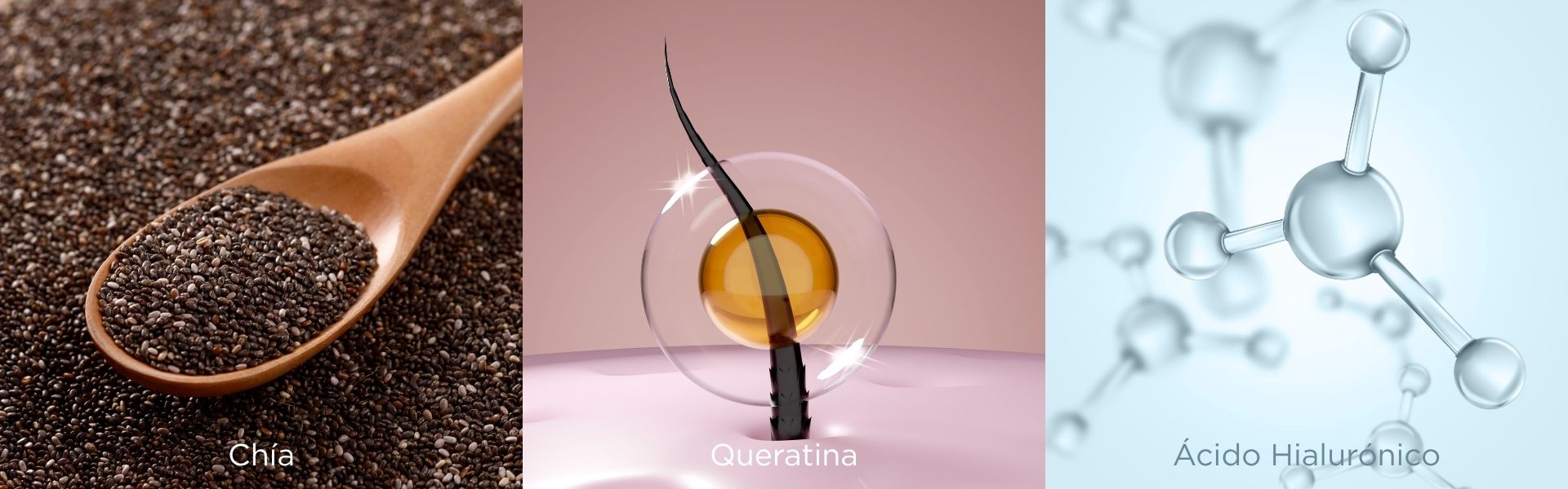 Tratamiento Esencial Activos