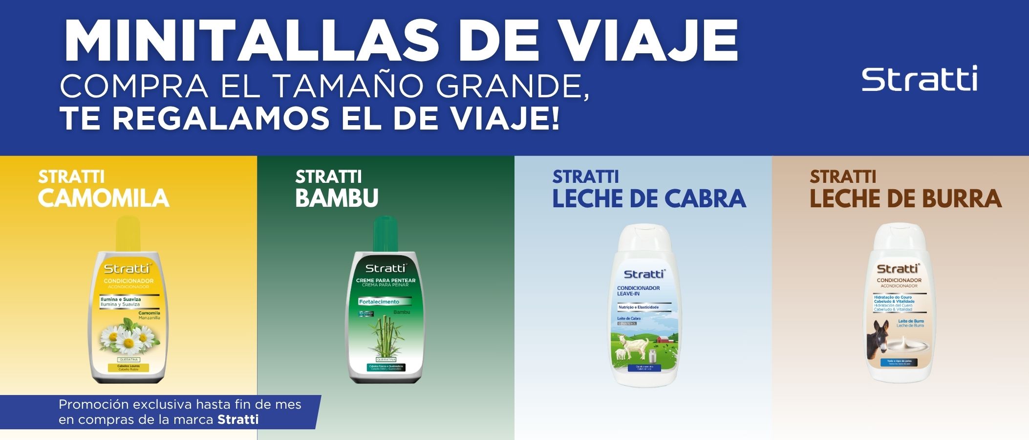 20250701 BB Banner WEB Mini Tallas 2025