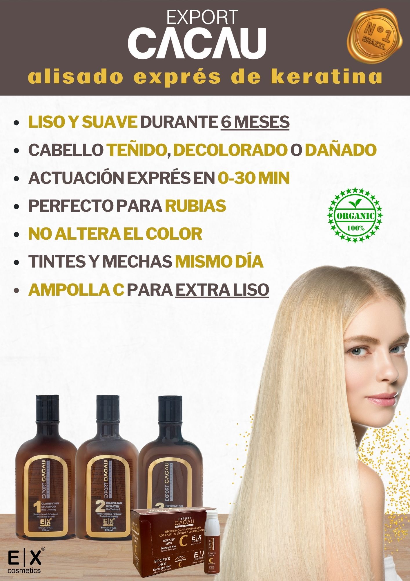 Kit Alisado de Keratina Export Cacau 3x260ml